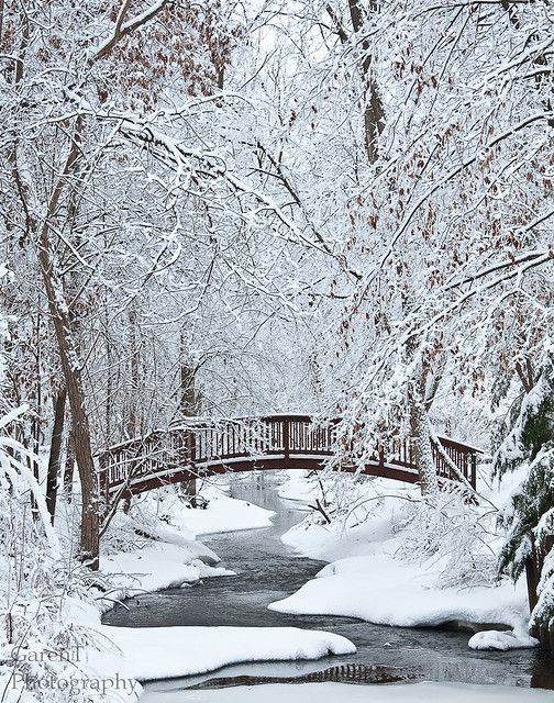 a bridge over a river surrounded by snow covered trees