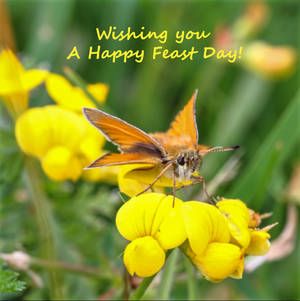 a yellow flower with a small orange butterfly on it's back and the words wishing you a happy feast day