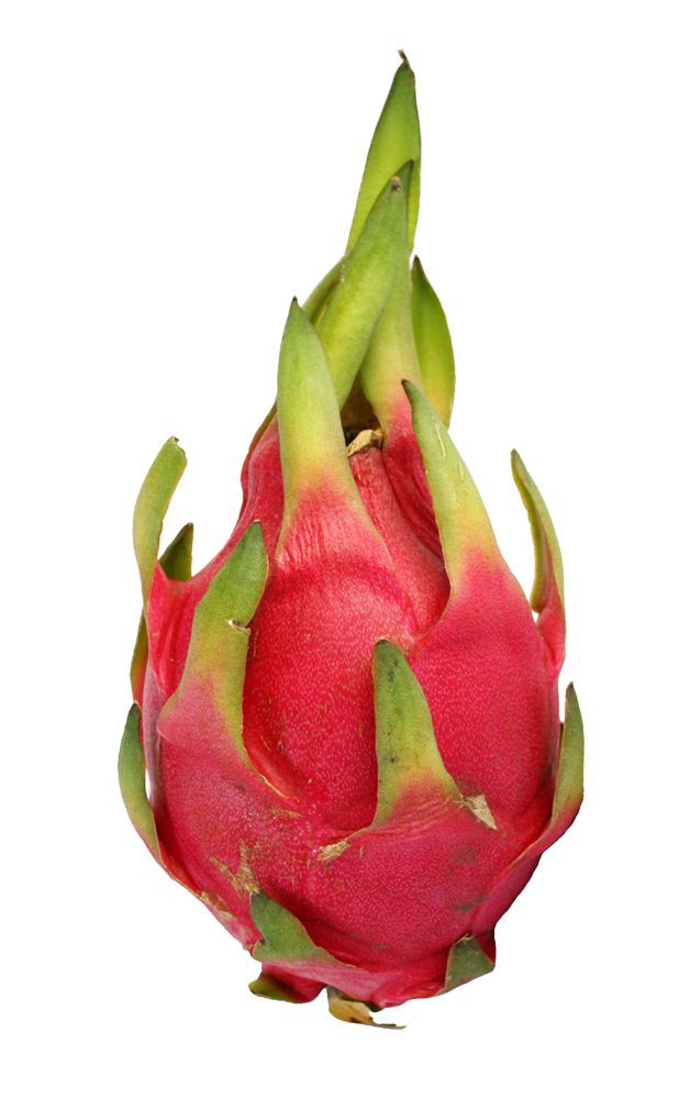 a red dragon fruit with green stems sticking out of it's center, on a white background