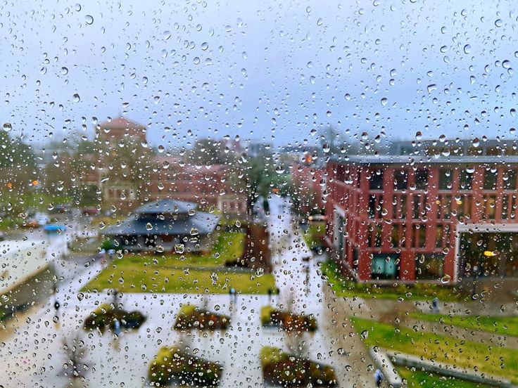 rain drops on the window as cars drive down a city street in front of buildings