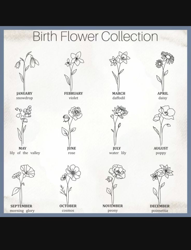 the birth flower collection is shown in black and white, with flowers drawn on it