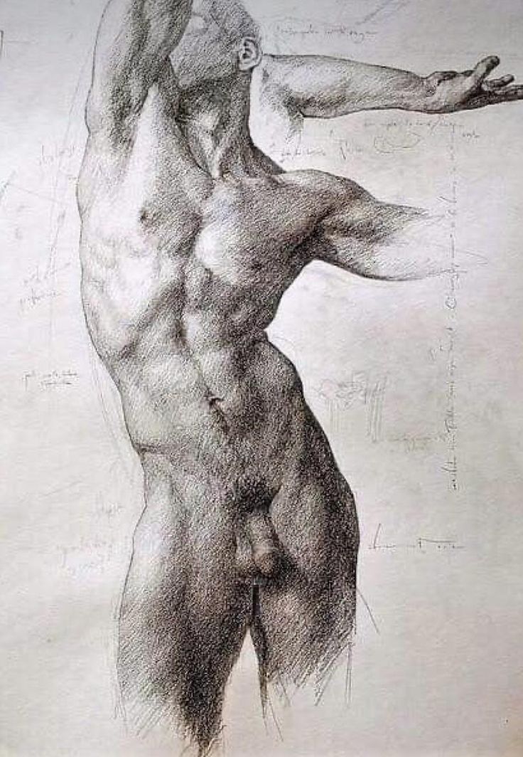 a drawing of a man's back and arm, with one hand on his hip