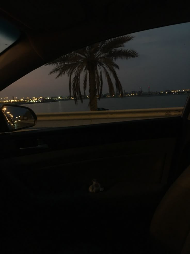 the view from inside a car at night, with palm trees and lights in the distance