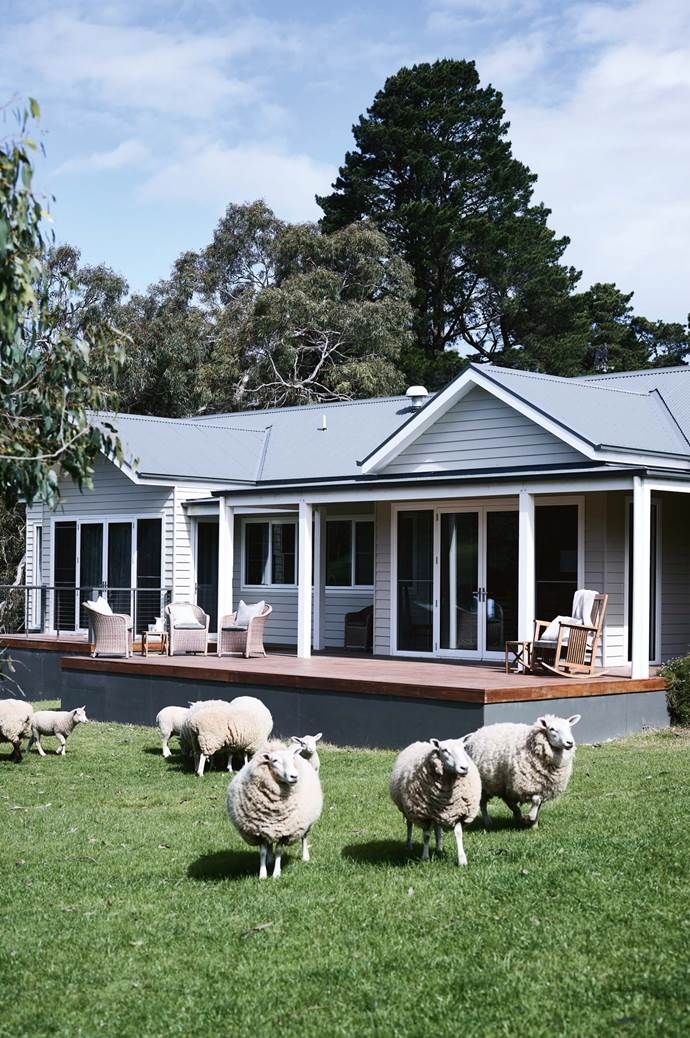 some sheep are standing in the grass near a house with a porch and covered patio