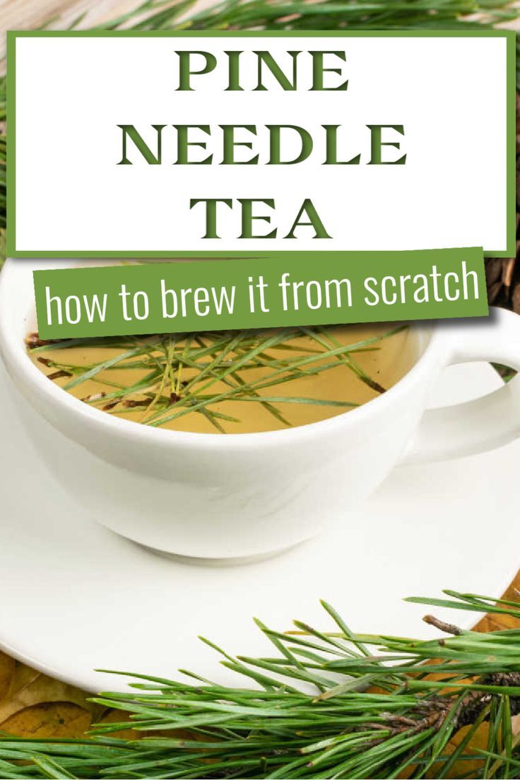 A white cup full of pine needle tea sitting on a white saucer surrounded by pine needles. The text says pine needle tea how to brew it from scratch. Nettle Tea Benefits, Hershey Recipes, Pine Needle Tea, Teas Recipes, Natural Food Supplements, Herbal Tea Benefits, Herbs Plants, Foraging Recipes, Chewy Peanut Butter Cookies