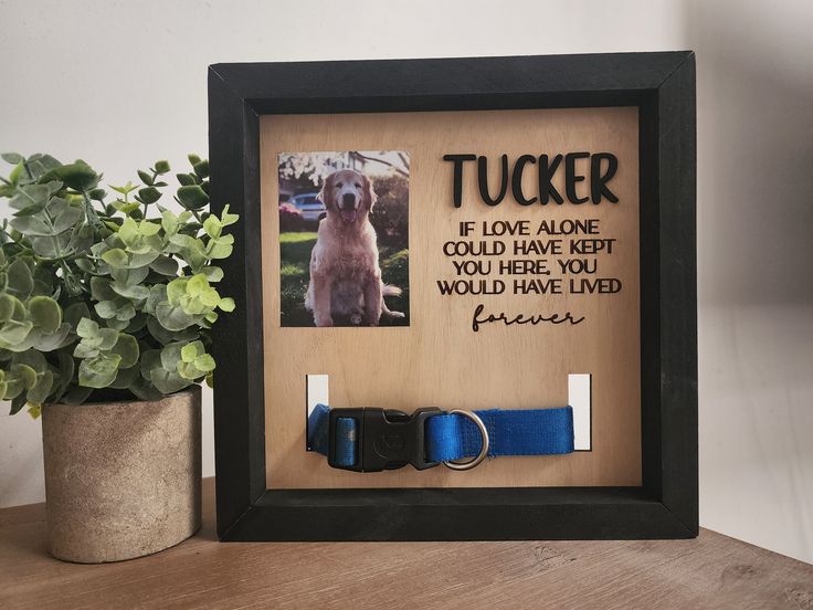 a wooden frame with a dog's picture and a blue ribbon attached to it