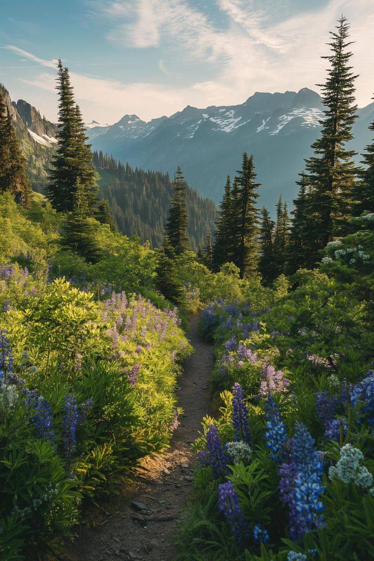 a trail in the mountains surrounded by wildflowers