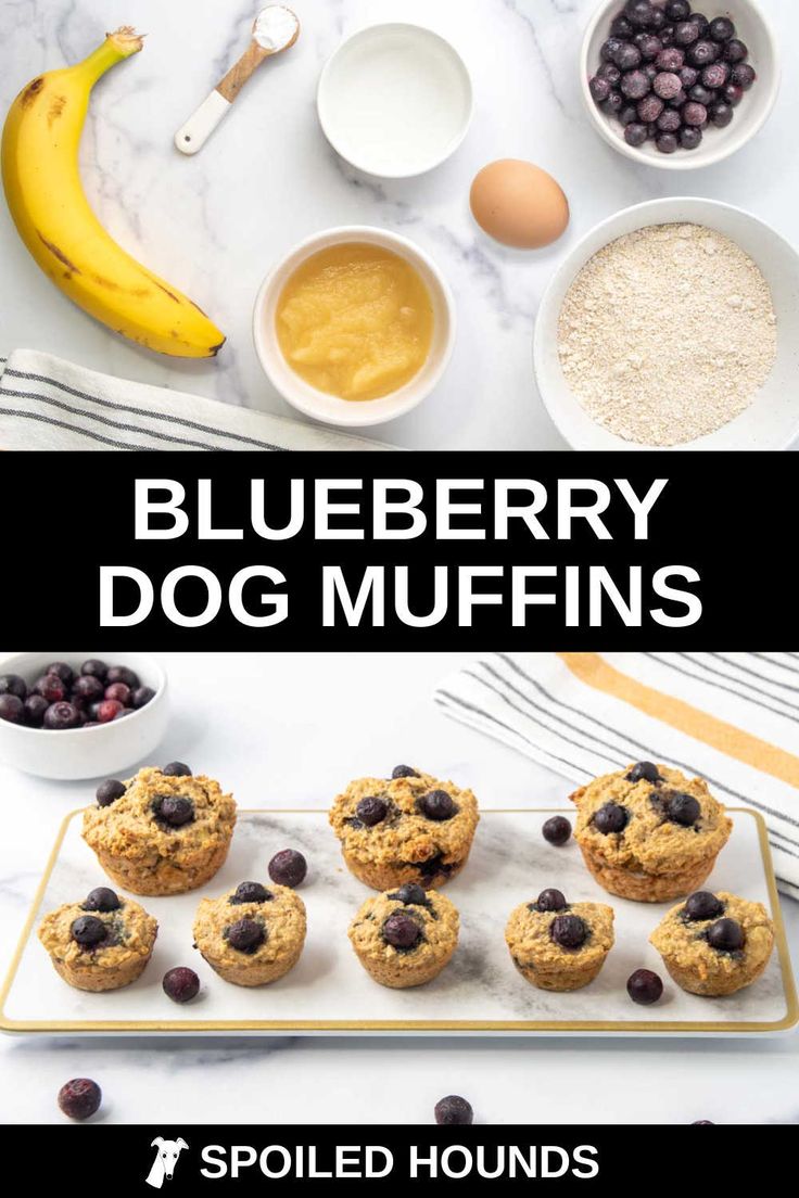 blueberry dog muffins on a tray with ingredients