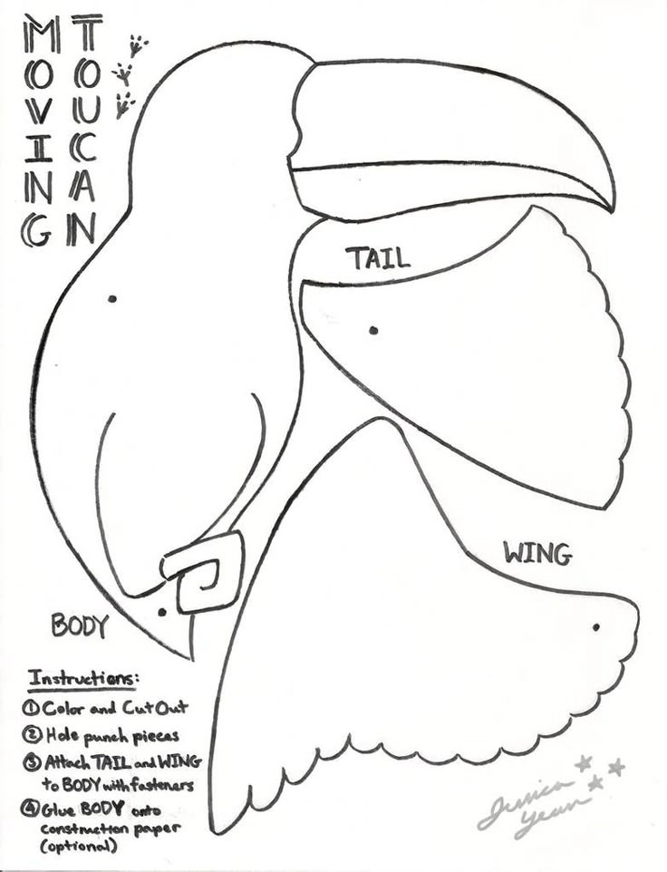 a drawing of a toucan with the words tail, wing and head on it