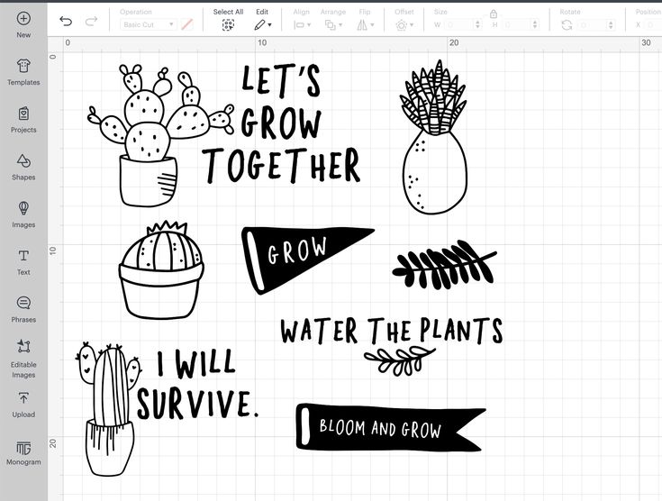 an image of some plants and flowers drawn on a sheet of paper with the words let's grow together