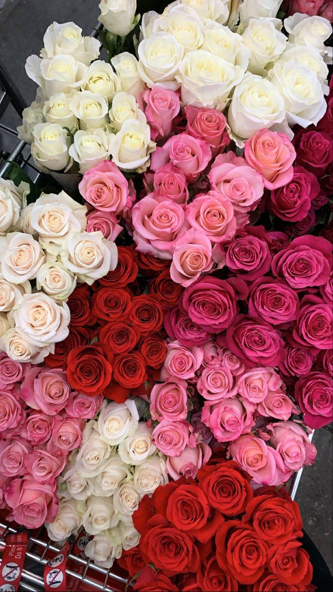 many different colored roses are arranged together