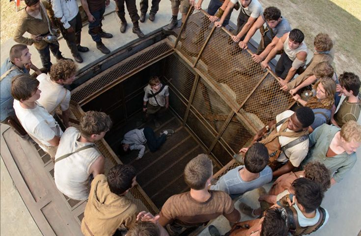 a group of people standing around a cage