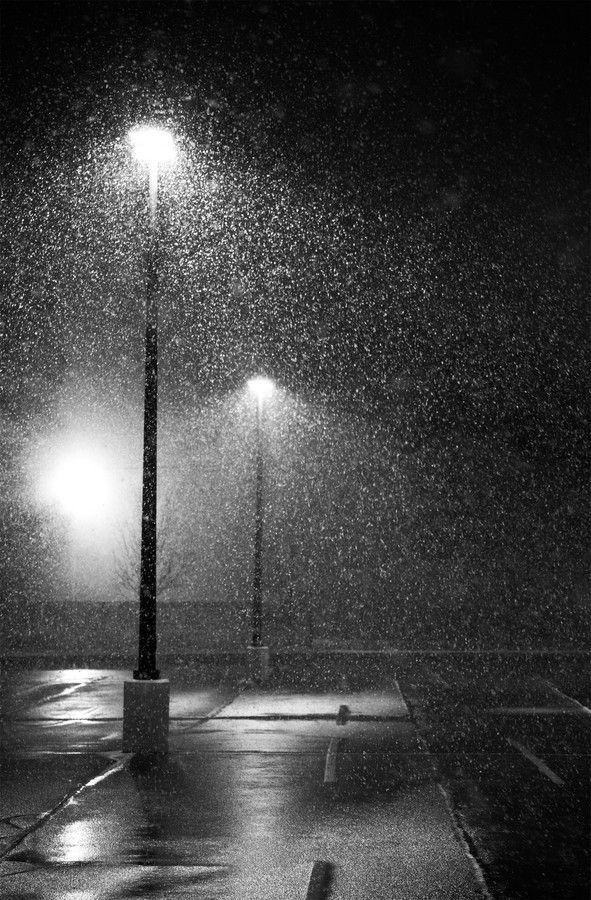 black and white photo of street lights in the rain