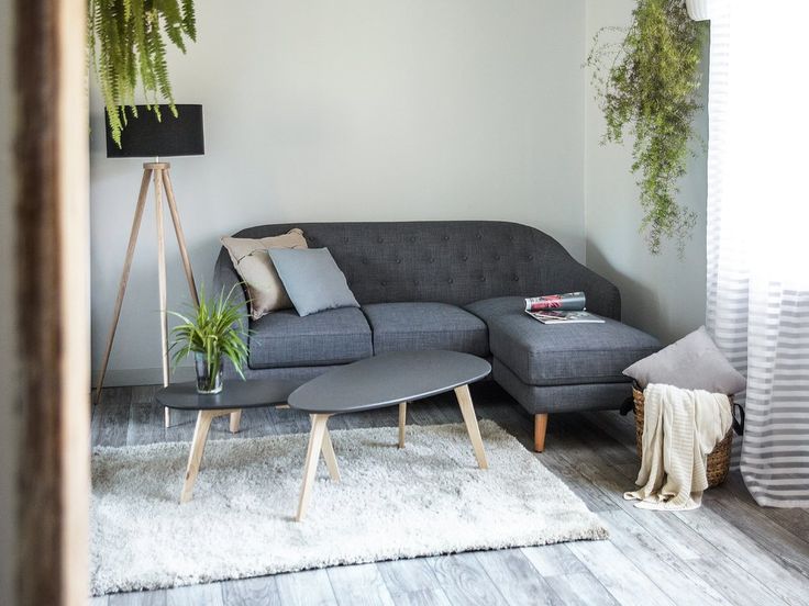 a living room with a gray couch and potted plants on the wall next to it