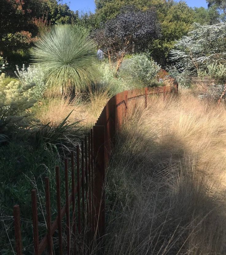 the fence is surrounded by tall grass and trees in the background, along with other plants