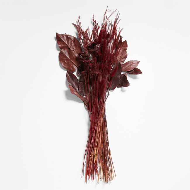 dried red flowers on a white background