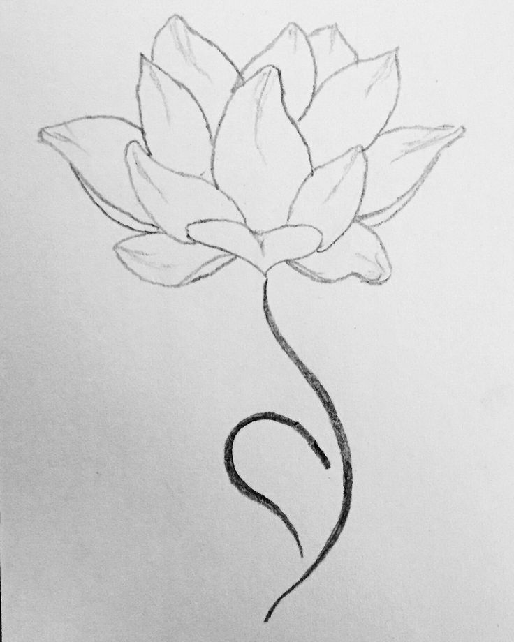 a pencil drawing of a flower on a piece of paper with the letter s in it