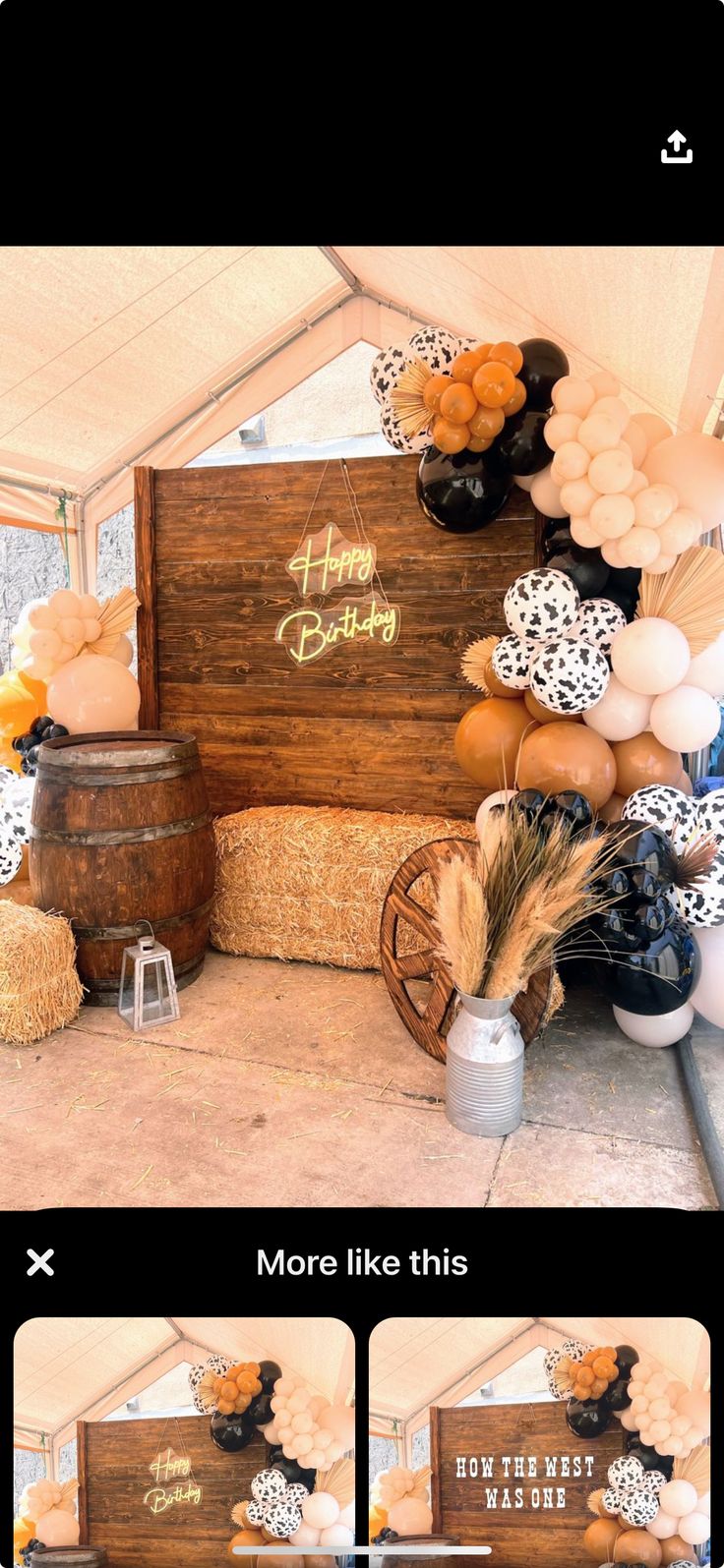 an image of a birthday party with balloons and decorations on the wall, including hay bales