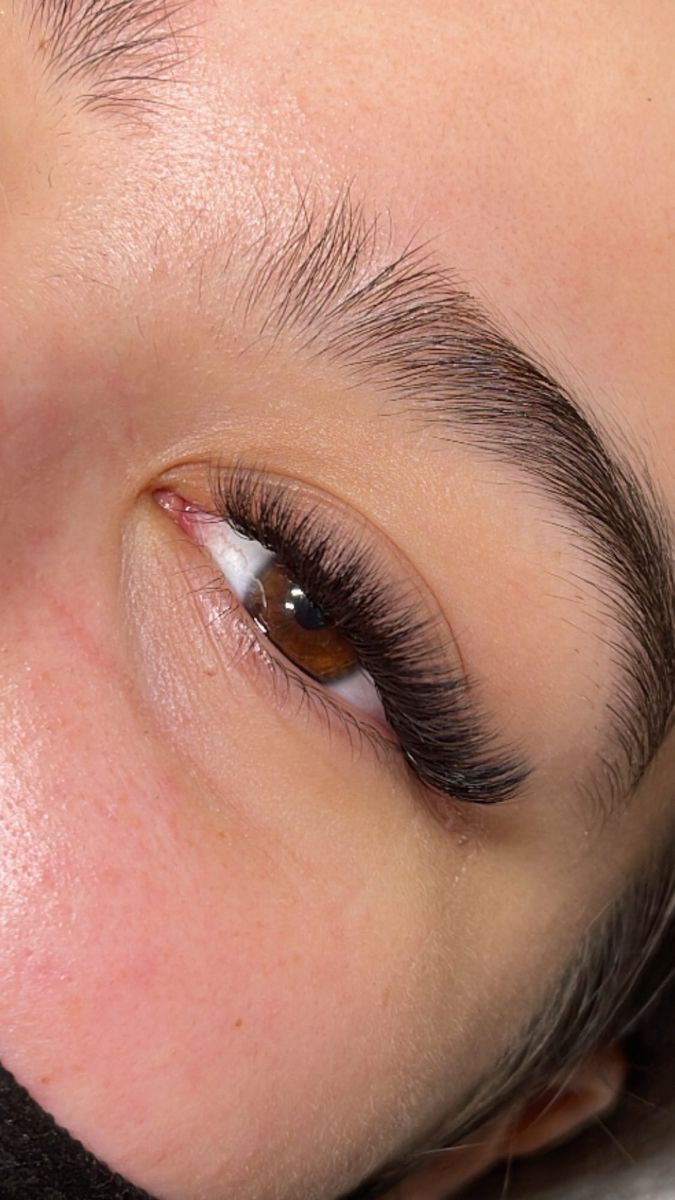 Hybrid eyelash extensions using premade fans Lashes Extensions Cat Eye Hybrid, Short Fox Eye Lash Extensions, Small Natural Lash Extensions, Short Natural Hybrid Lashes, Hybrid Lash Extensions Small Eyes, Lash Extensions Hybrid Volume, Short Classic Hybrid Lashes, Short Full Eyelash Extensions, Short Full Hybrid Lash Extensions