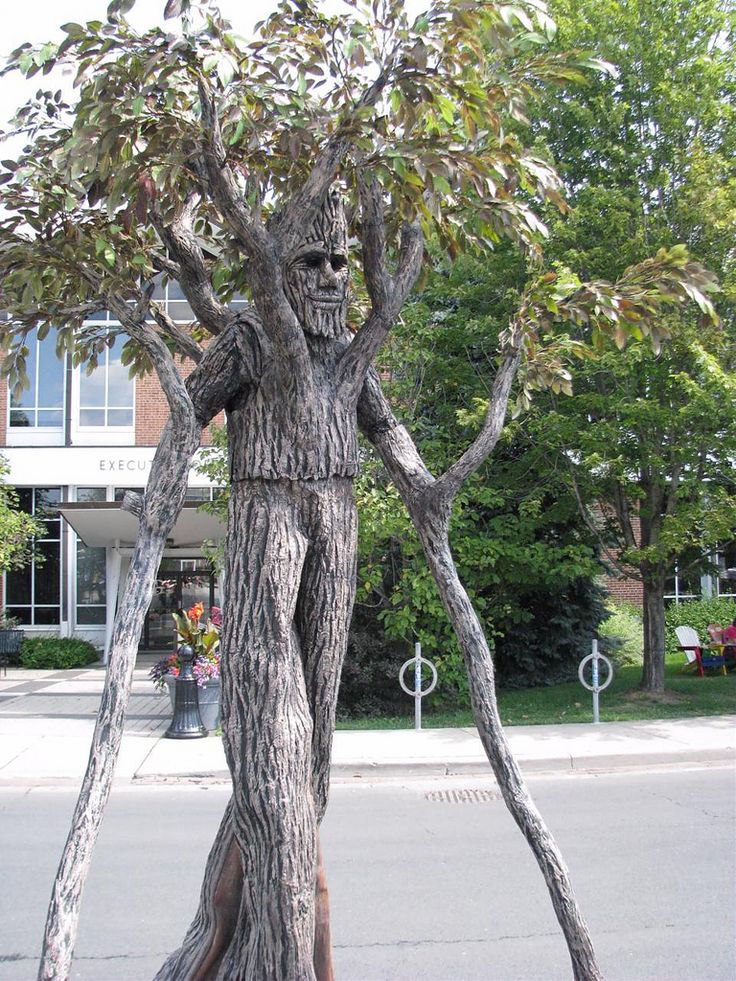 a tree that has been carved into the shape of a human face and is standing in front of a building