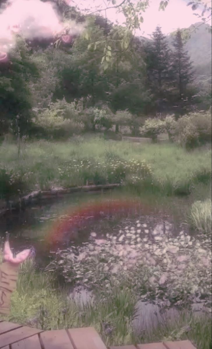 there is a rainbow in the sky over a pond and some flowers on the ground