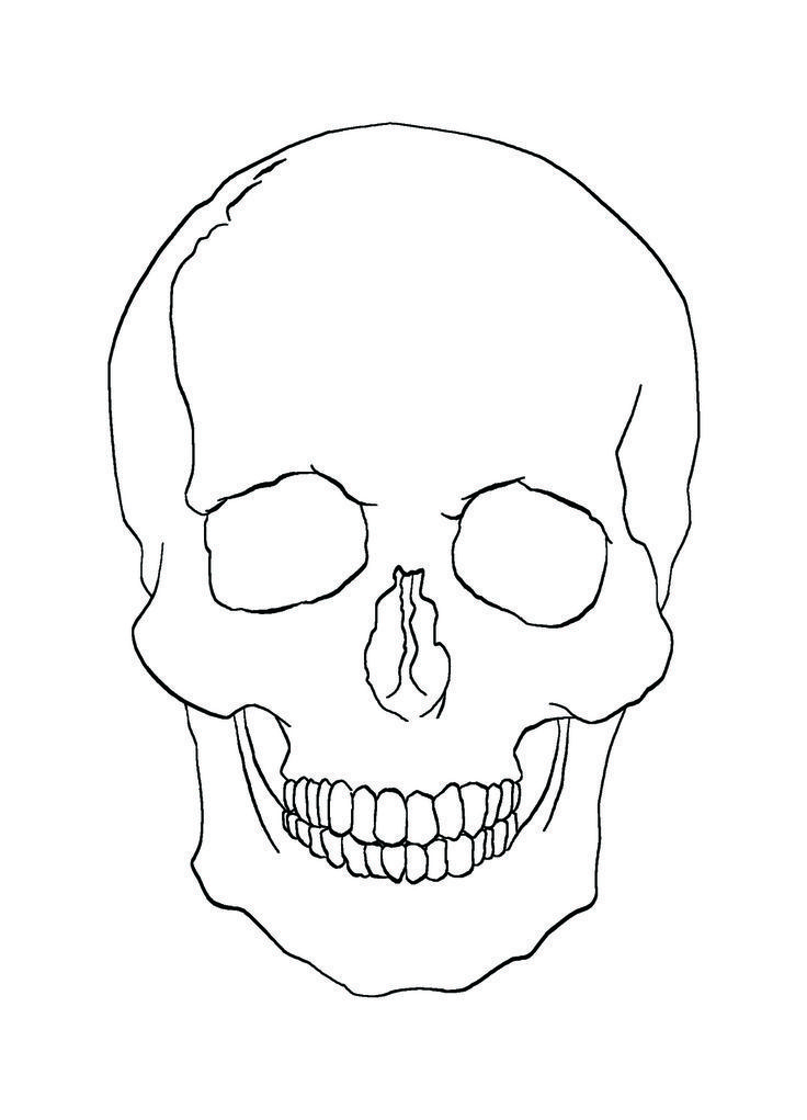 a black and white drawing of a skull