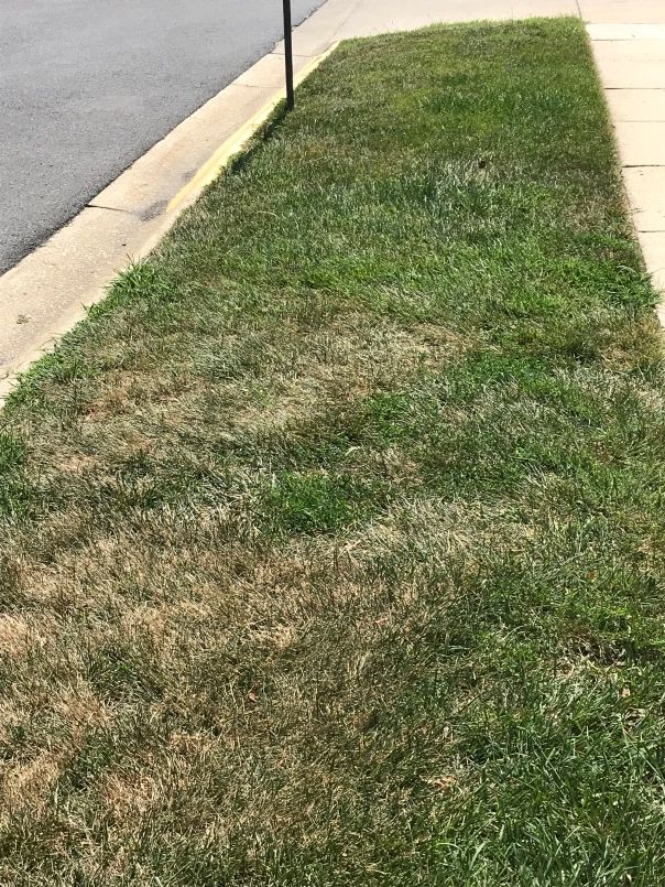 a street sign sitting on the side of a road next to a grass covered sidewalk