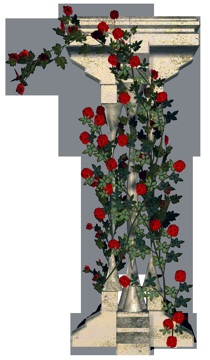 red roses are growing out of the top of a pillar