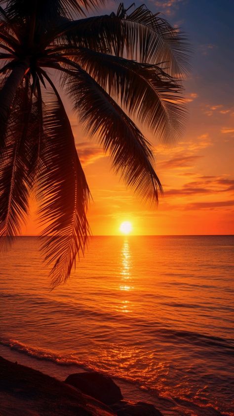 the sun is setting over the ocean with palm trees