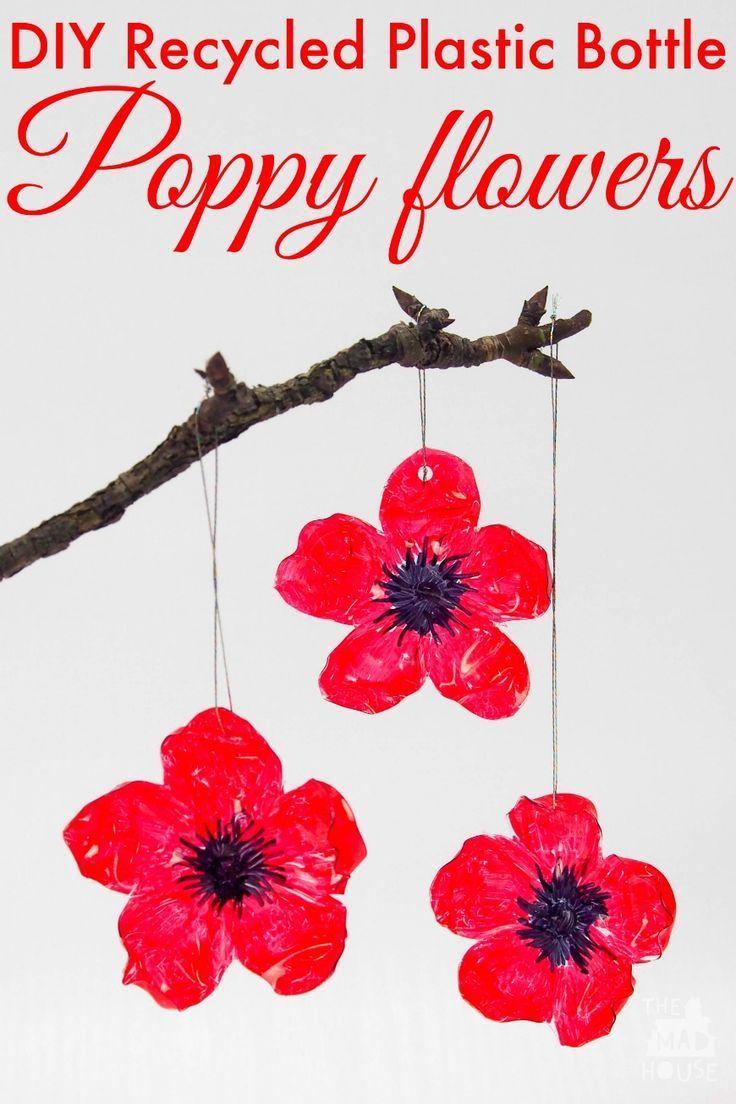 three red flowers hanging from a branch with the words diy recycled plastic bottle poppy flowers