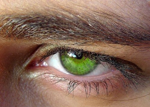 an eye with green eyeshade and brown hair