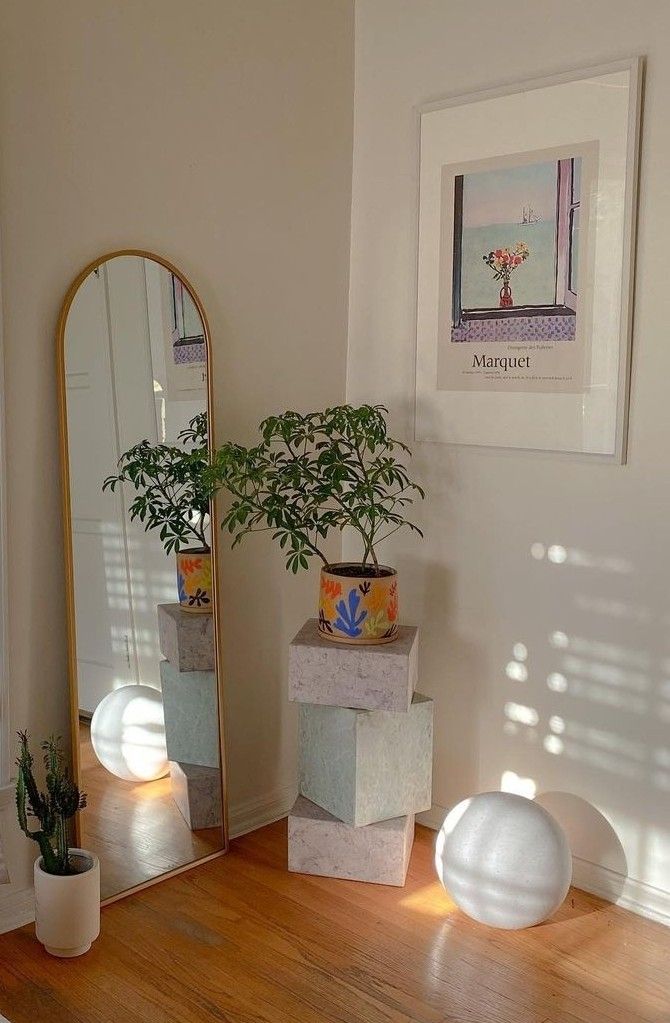 a room with a mirror, potted plant and two balls on the floor in front of it