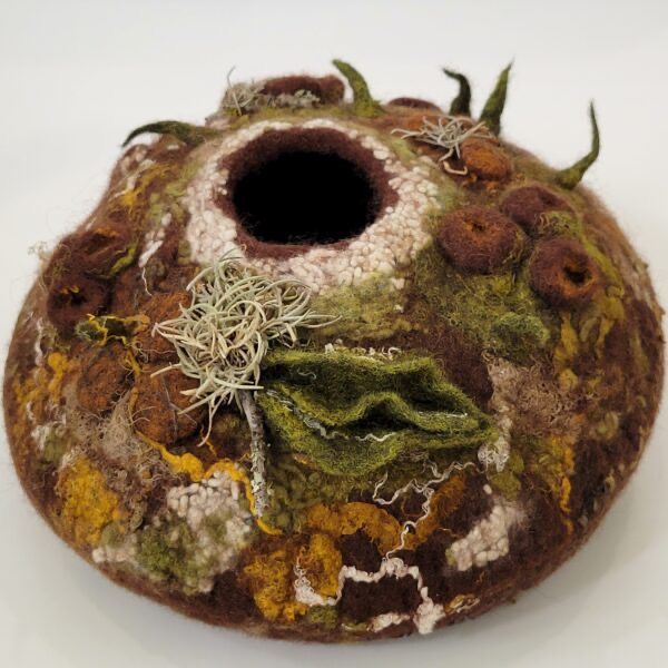 a close up of a vase on a white surface with moss and lichens