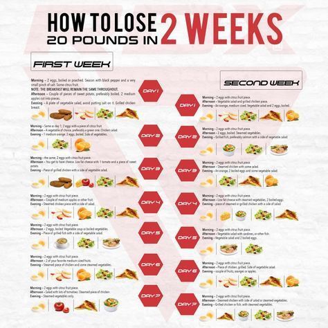 A healthy Diet Plan to Lose 20 Pounds in 2 Weeks | RDX Sports Blog Kiat Diet, Program Diet, Easy Diet Plan, Resep Diet, Fitness Plan, Fitness Apps, Body Wrap, Easy Diets, Barre Workout