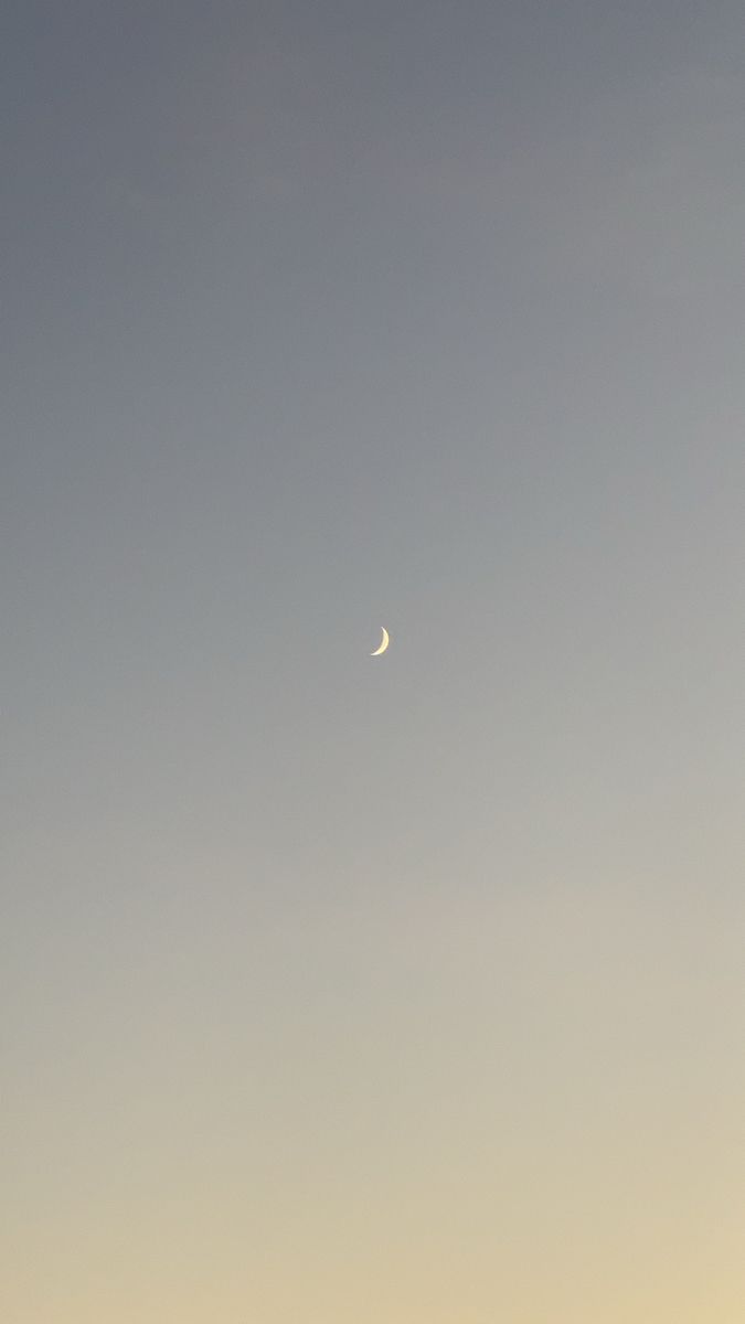 the moon is visible in the sky above some trees