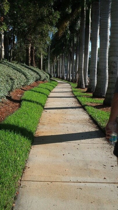 a person walking down a sidewalk next to palm trees and green grass on both sides