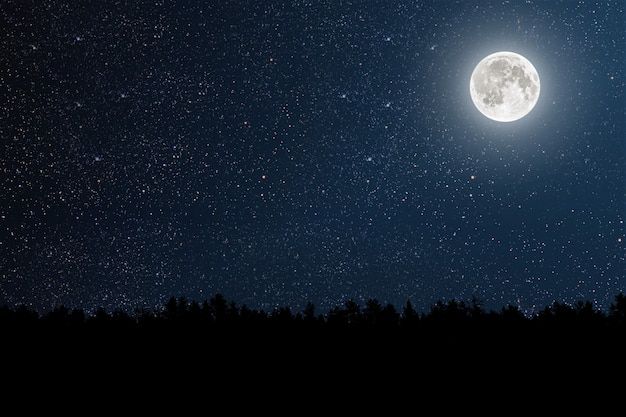 the full moon shines brightly in the night sky above some pine trees and dark blue skies