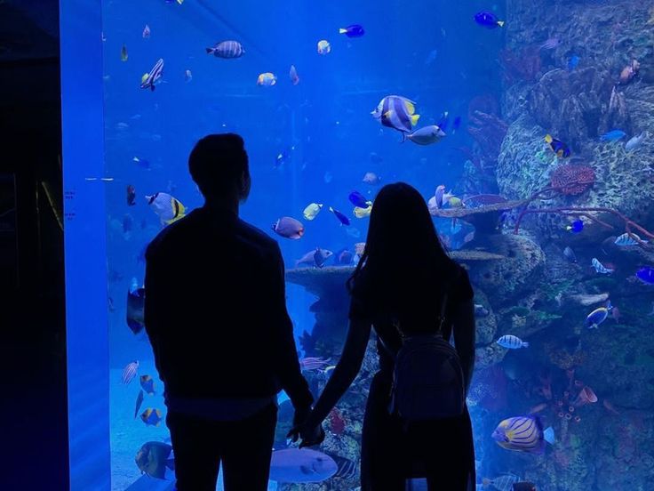 two people standing in front of an aquarium looking at fish