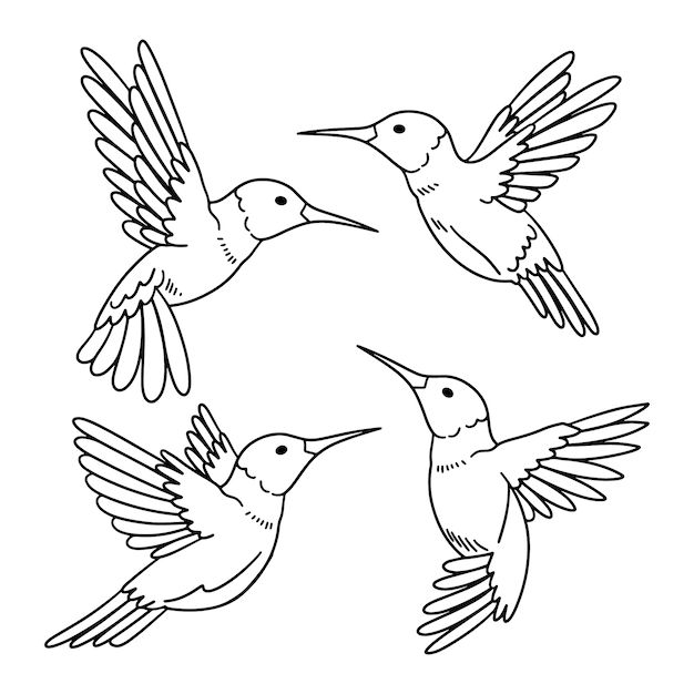 three hummingbirds flying in the air with their beaks open and wings spread out