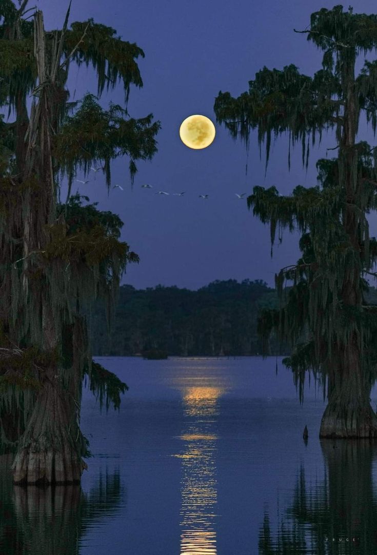 the full moon is reflected in the still waters of lake oconee, florida