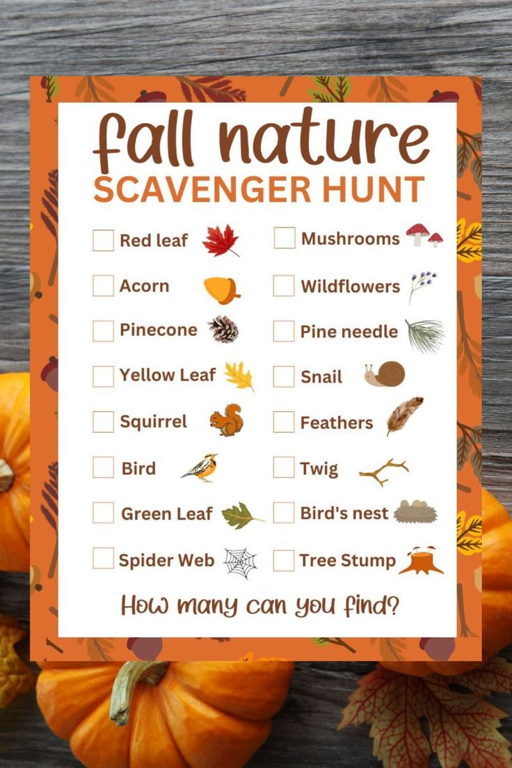 a fall nature scavenger hunt with pumpkins and leaves