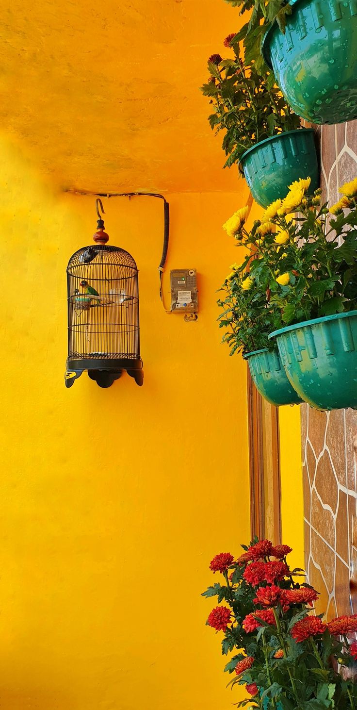 a birdcage hanging from the side of a yellow wall next to potted flowers