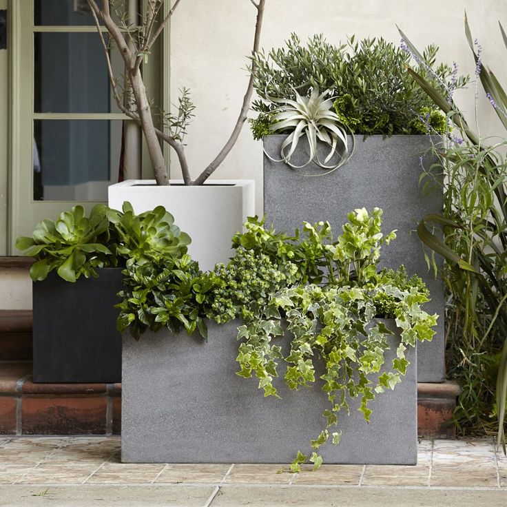 an advertisement for outdoor planters on the front and back of a storefront window