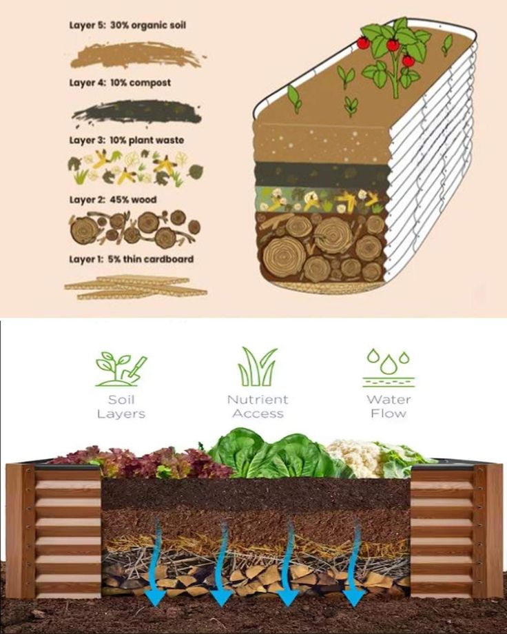 an info sheet shows the different stages of growing vegetables in soil and how to use them