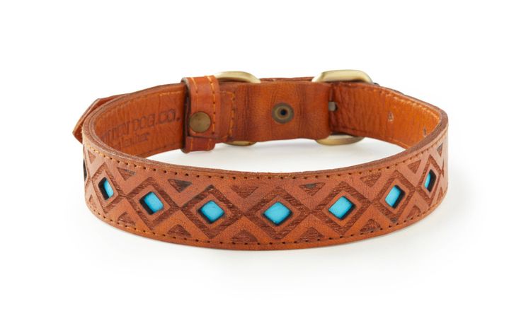 a brown leather dog collar with turquoise stones