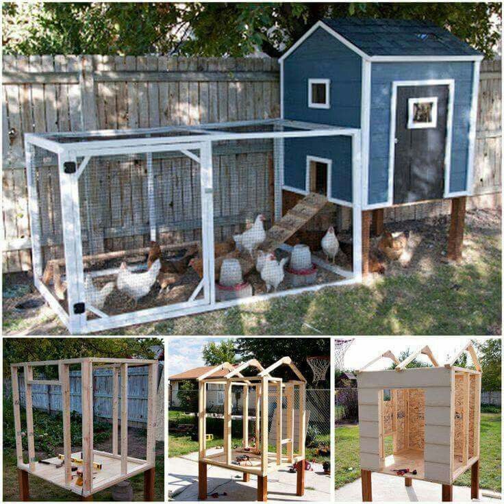 several pictures of chicken coops in various stages of construction