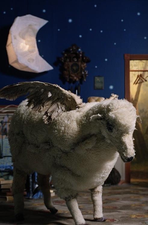 a white sheep standing on top of a tiled floor next to a blue wall and ceiling