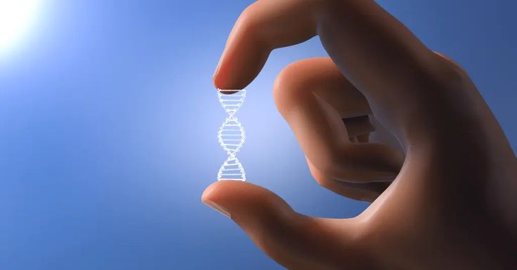 DNA is also known as the biological blueprint of life while DNA typing is also known by various names such as DNA Profiling, genotyping or identity testing. Dna Profiling, Forensic, Anthropology, Quick Saves