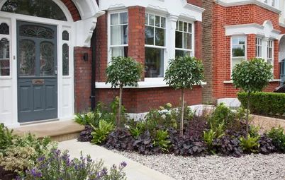 a front yard garden with flowers and plants in the foreground, next to a brick house