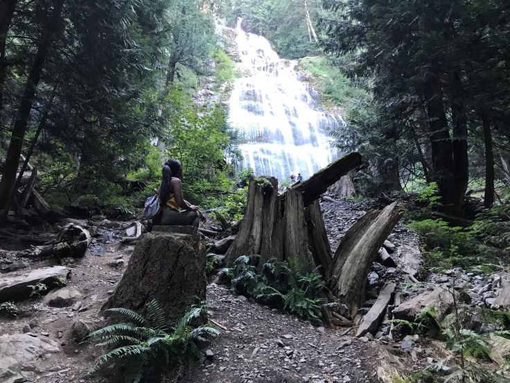 a person sitting on top of a tree stump in front of a water fall and forest